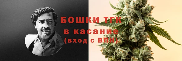 дмт Арсеньев