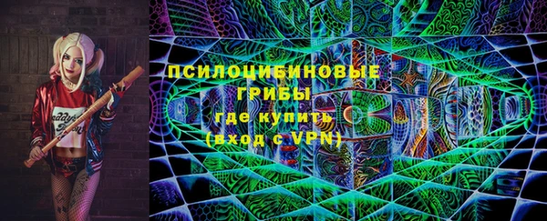 дмт Арсеньев