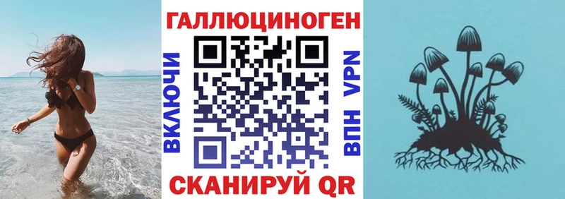 где найти   MEGA маркетплейс  Псилоцибиновые грибы Cubensis  Мончегорск 